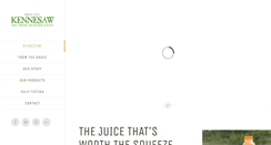 Desktop Screenshot of kennesawjuice.com